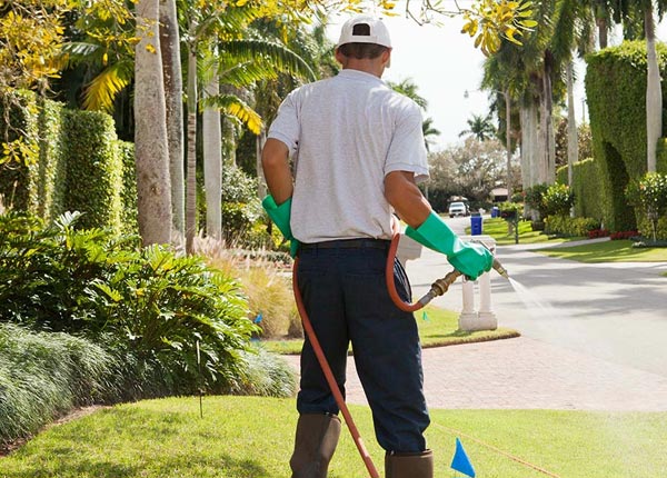 About Georgetown FL Pest Control